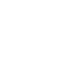 SSAE-Logo